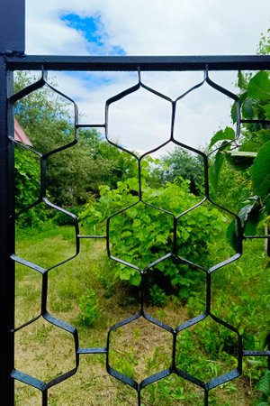 Fragment of a black metal fence, Close-up. Vertical photo.の写真素材