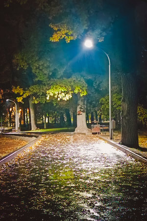 Illuminated alley in the night city park with large oak trees. Beautiful night landscape.の写真素材