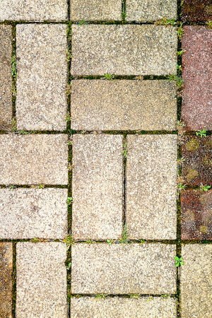 path with paving slabs. Background, texture, pattern, frame, copy spaceの写真素材