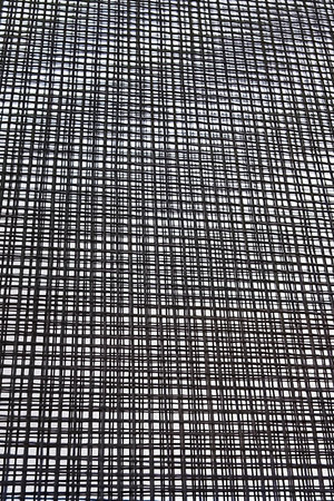 Grid Overlay Texture. vertical cellular black and white pattern.