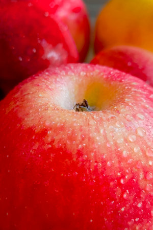 Red ripe apple in water drops. Macro photography, selective focus. Vertical photography.の写真素材