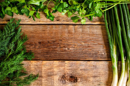 dill, parsley and green onions on a dark wood background. toning. selective focus on the green onionsの写真素材
