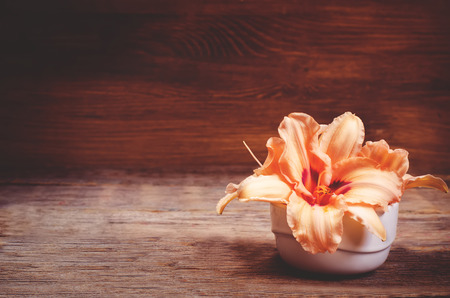 orange flowers lilia on a dark wood background. toning. selective focus on the middle flowerの写真素材