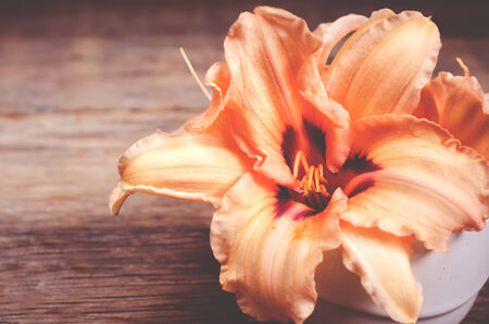 orange flowers lilia on a dark wood background. toning. selective focus on the middle flowerの写真素材
