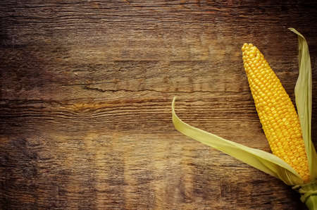 corn on a dark wood background. tinting. selective focus on the middle of cornの写真素材