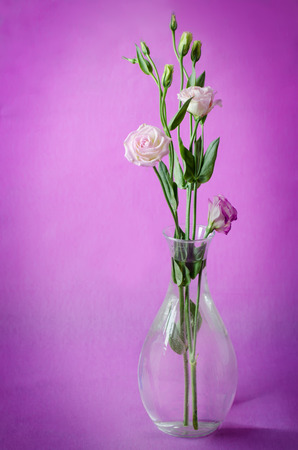 bouquet of pink flowers on a purple backgroundの写真素材