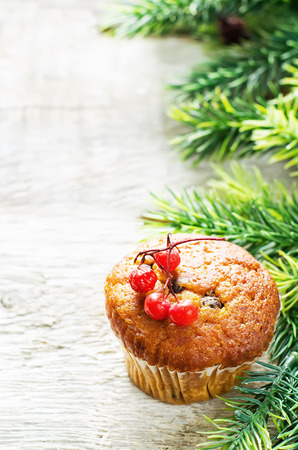 muffins with cinnamon and chocolate chips on a light woody background. tinting. selective focus on the middle of the top of muffinの写真素材