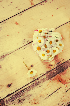 camomile flowers on a light woody background. tinting. selective focusの写真素材