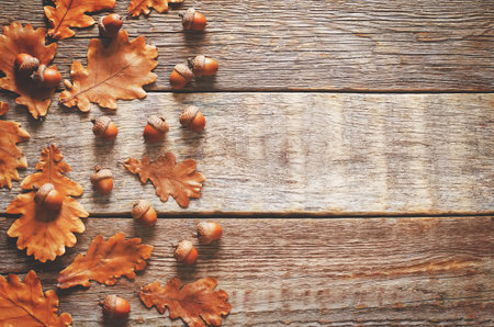 acorns with leaves dark wood background. tinting. selective focus