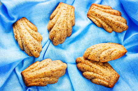 Madeleine cookies with cinnamon and poppy seeds on a light blue wood background. tinting. selective focusの写真素材