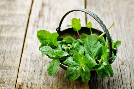 mint on a dark wood background. toning. selective focusの写真素材