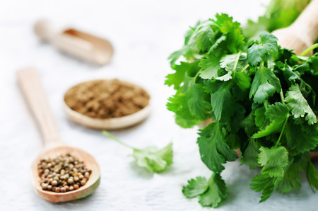 coriander on a white background. tinting. selective focus