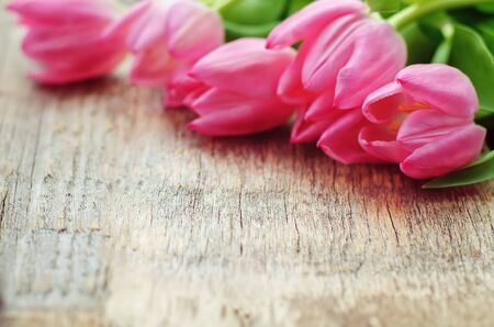 pink tulips on a dark wood background. tinting. selective focusの写真素材