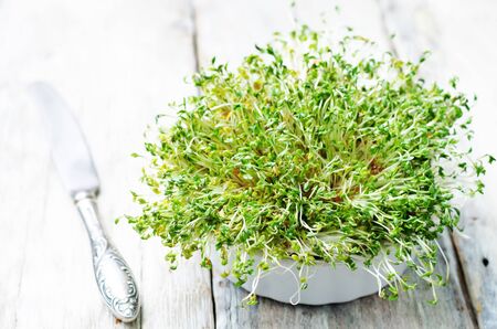 sprouts in a white bowl on a white wood background. toning. selective focusの写真素材