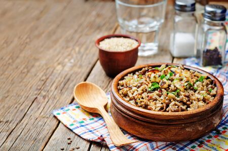 Lentils and rice with Crispy Onions and Parsley. Mujadara. toning. selective focusの写真素材