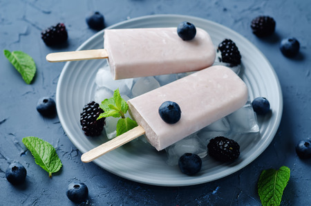 Vanilla Ricotta ice cream with blackberry and blueberry. toning. selective focusの写真素材