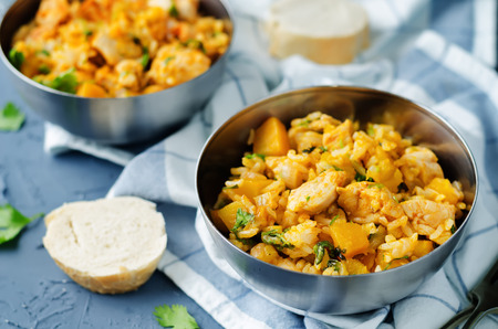 Pumpkin chicken cilantro rice on a stone background. toning. selective focusの写真素材