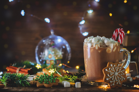 Cup of Cocoa with marshmallow and gingerbread cookie. toning. selective focusの写真素材