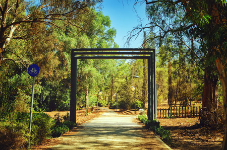Presidential Park in Nicosia, Cyprus in October. toning. selective focusの写真素材