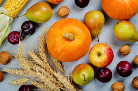 Autumn vegetable and fruit grey background. toning. selective focusの写真素材