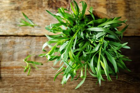 Fresh Tarragon Bunch on a dark wood background. toning. selective focusの写真素材