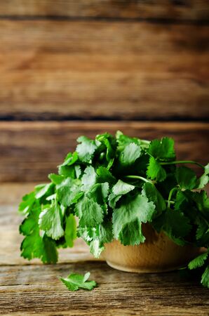 Fresh Cilantro Bunch on a dark wood background. toning. selective focusの写真素材
