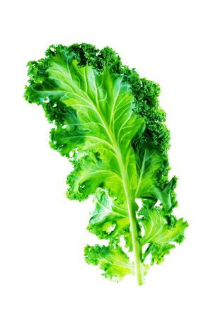 Fresh kale Bunch on a white background. toning. selective focusの写真素材