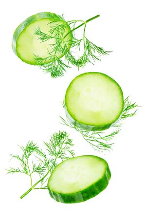 Fresh dill leaves on a white background. toning. selective focusの写真素材