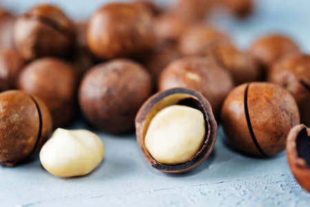 macadamia nuts. toning. selective focusの写真素材