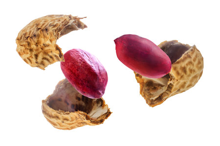 Peanut on a white isolated background. toning. selective focus