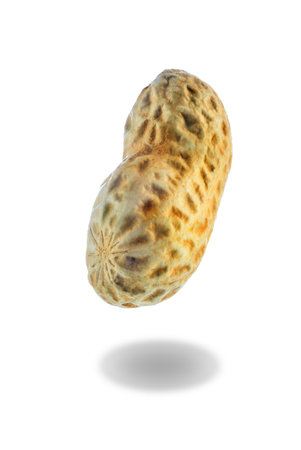 Peanut on a white isolated background. toning. selective focus