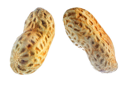 Peanut on a white isolated background. toning. selective focus