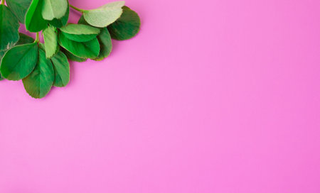 Pattern of green petals on a pink background. Flat lay, top view.の写真素材