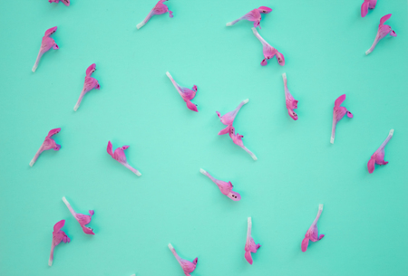 Beautiful turquoise blue background with tropical pink colors, top view, flat lay, frame. Creative spring layout, banner templateの写真素材