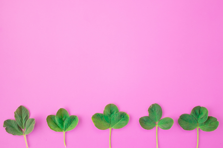 Creative layout. Frame from green branches, leaves on a pink background. Minimal concept, flat lay, top view.の写真素材