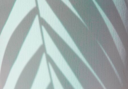 Shadow of tropical palm leaves on a blue surface close-up. Summer concept and blogging.の写真素材