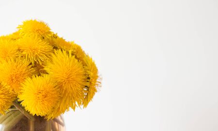  Bouquet of yellow dandelions in a glass vase on a blurred white background. spring composition. copy space.の写真素材