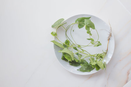Lunch for losing weight. Diet concept, healthy food menu. Green plant with root in a plate on a...