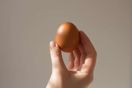 An egg in woman's hand with a beautiful shadow from the window and rays of the sun. Minimalistic wallpaper or postcard for design. The concept of Easter, on an gray background, beautiful background.の写真素材