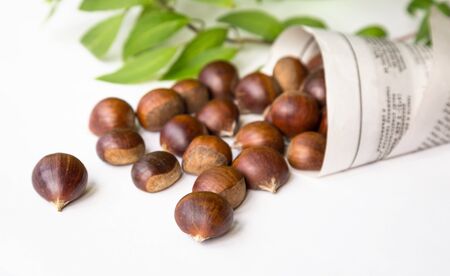 bag with chestnutsの写真素材