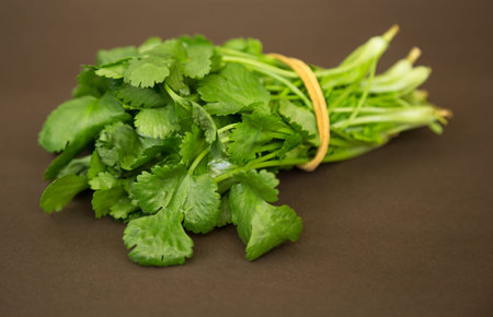 bunch of fresh green coriander on a table