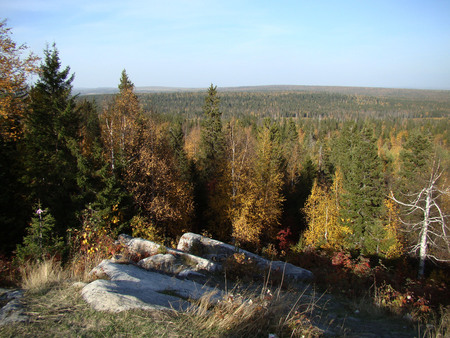 Beautiful view of the vast expanses of forest in autumnの写真素材