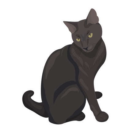 Elegant black cat. Cute cat sitting. Flat illustration isolated on white background for your design. nice pet.のイラスト素材