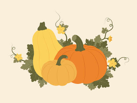 Nice pumpkins with leaves and flowers. Autumn holiday composition for harvest festival or Thanksgiving. Vector hand drawn illustration. Can be used for greeting cards, postcards, pのイラスト素材