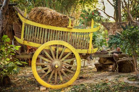 Colorful wooden cart with hay stands on a farmsteadの写真素材