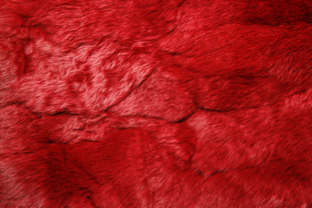 Close-up of lapin colored fur for texture or backgroundの写真素材