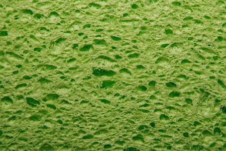 Green Cellulose foam spongeの写真素材