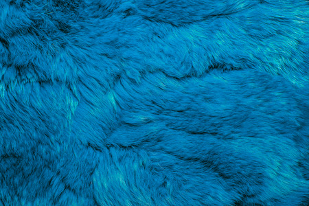Close-up of lapin colored fur for texture or backgroundの写真素材