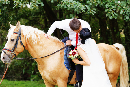 Wedding. Bride and groom with  horse. bride and groom on a horses in the forestの写真素材