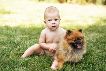 Little baby playing with dog Pomeranian spitz on the green grass outdoors. Kid and puppyの写真素材